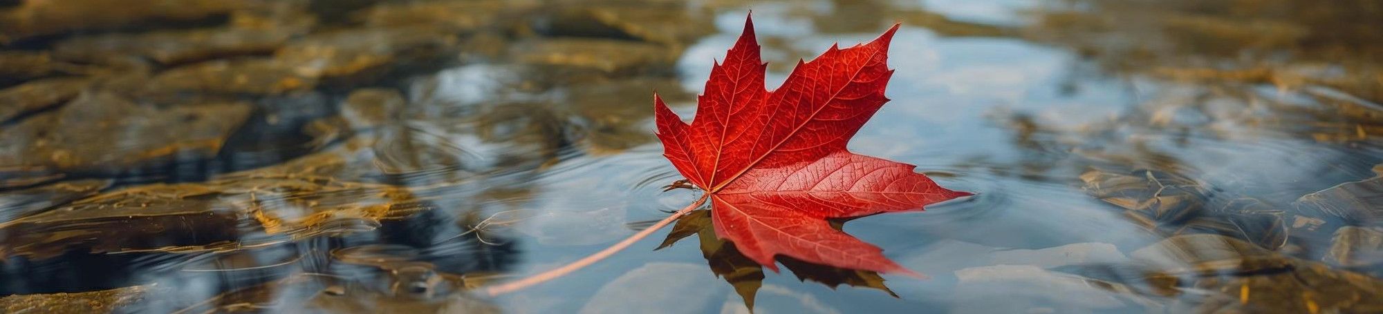 Morbern Europe - Over fifty years at the forefront of the performance fabrics industry