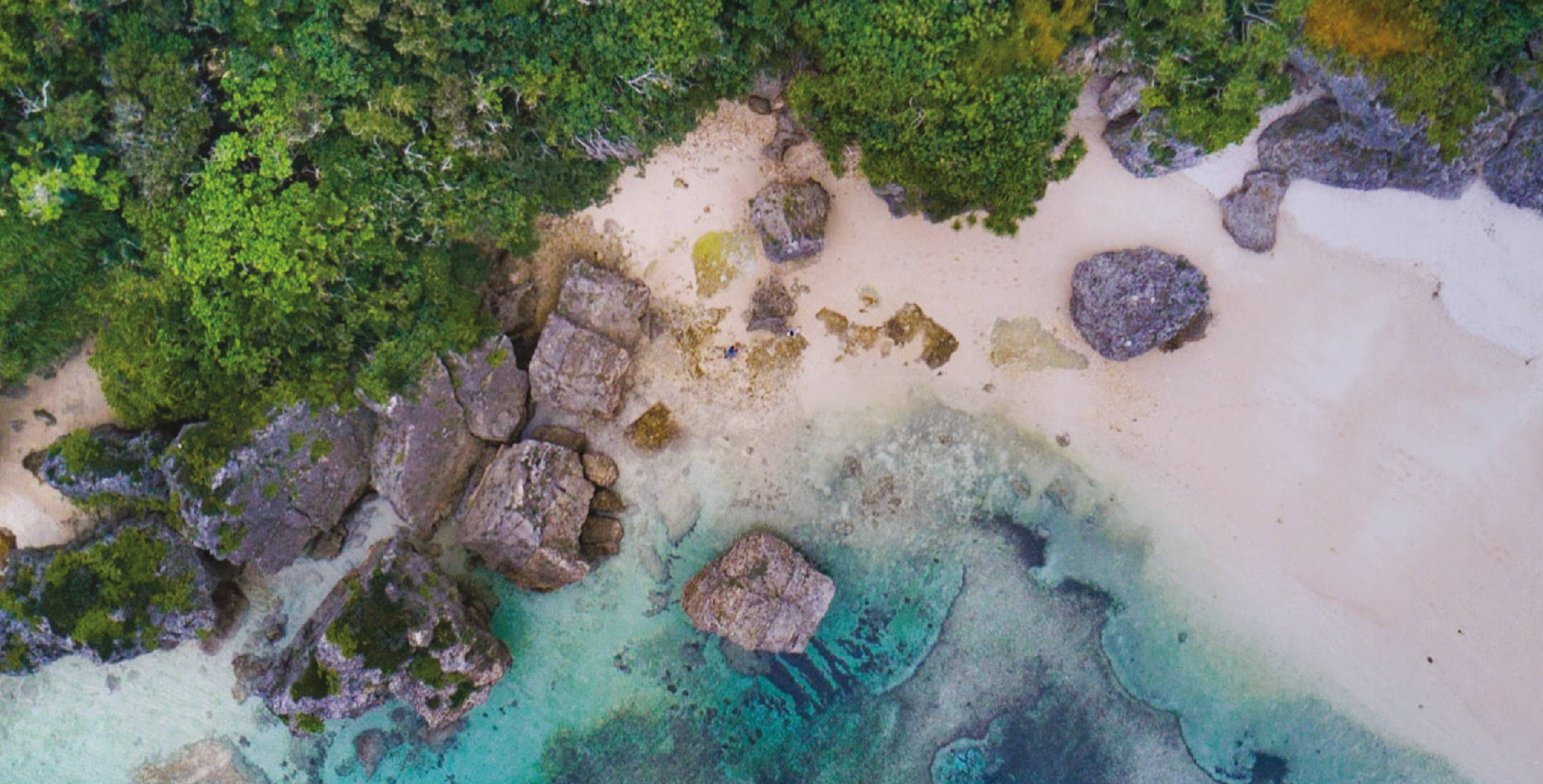 Sustainability - Where sustainability flows like a soft, soothing breeze